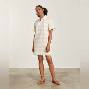 Everlane preppy polo dress